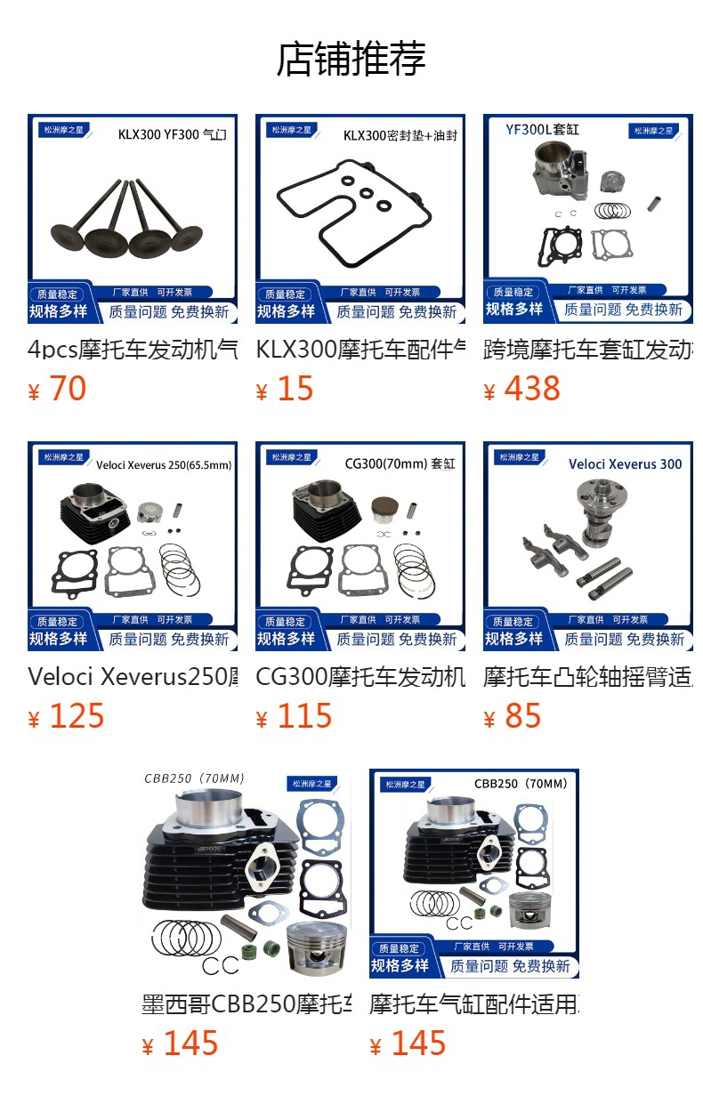 Motorcycle Parts Valve Suitable for Italika Vort-X300 300R Vortex 300 Oil Seal