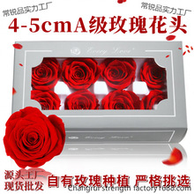 ������õ�廨�^�������l-��Ʒ�����߼��иɻ����l��