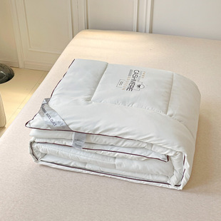 2025 New Type a Maternal and Infant Grade Australian Wool Protein Quilt Hotel Quilt Wholesale Gift Live Broadcast