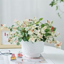 ��ʻ��~�j�����S����~���m�҃ȾGֲ�k��������Ȥζ��������ֲ��