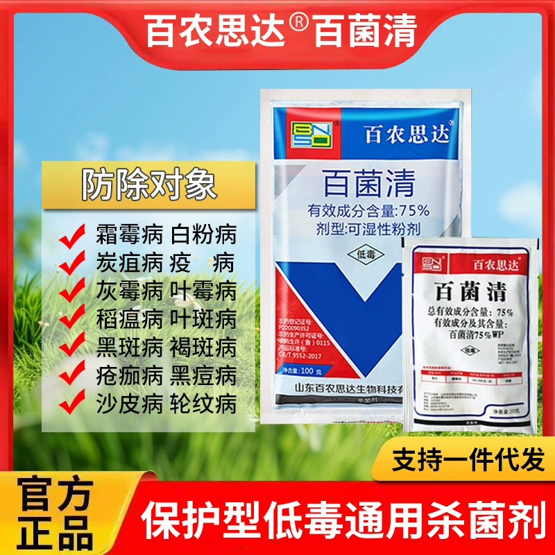 75% карбендазим в синей порошковой форме для цветов и плодовых деревьев, универсальный фунгицид от антракноза, тараканьего лишая, пятнистого грибка, пыльчатого лишая, для плодовых и овощных культур, а также от заболеваний растений.