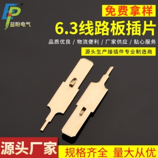 6.3 Motor Insert Pin DJ6131-6.3 Brass