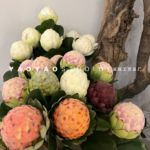 仿真释迦果 仿真植物帝王家居酒店软装花艺橱窗摆放道具假花 外贸