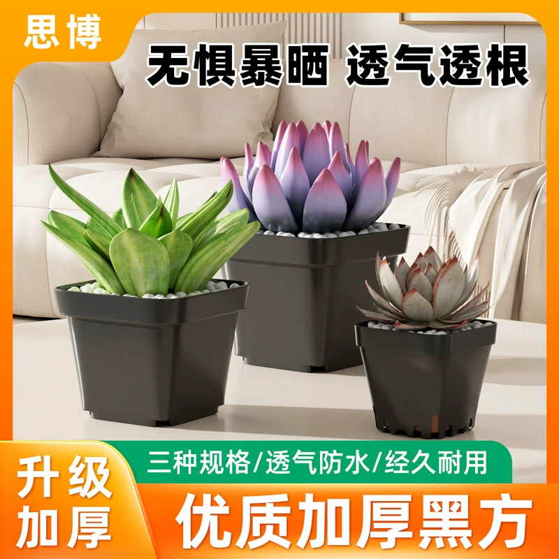 Оптовый утолщенный маленький квадратный горшок рассада суккулентный цветочный горшок черный пластиковый саженец завод прямые поставки садоводство простой маленький черный квадрат