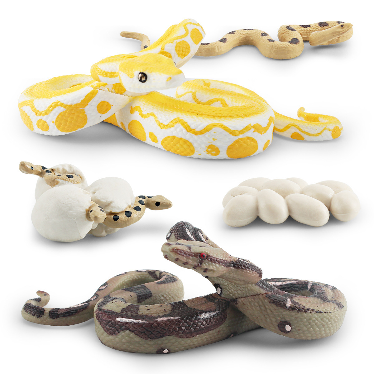 Simulación transfronteriza bosque animal Python modelo de ciclo de crecimiento Birmano Python ciruela flor Python proceso de crecimiento decoración juguete