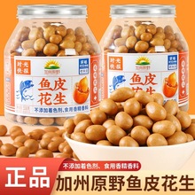 加州原野鱼皮花生538g/罐装花生豆裹衣炒货80后怀旧小吃休闲零食