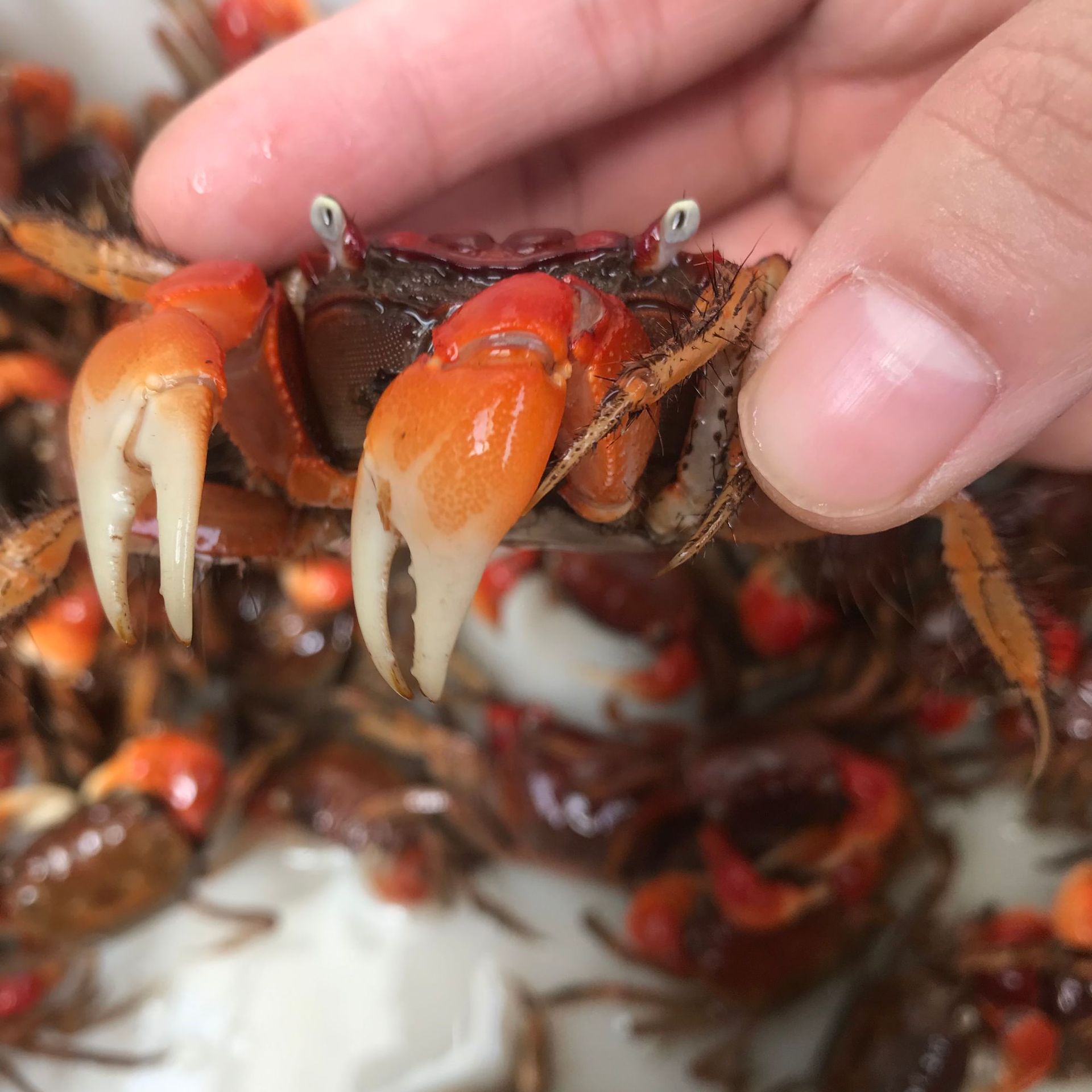 微信图片_20210909141657