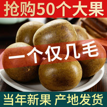 �_�h����Ʒ��Ş������خa��Ұ�������_�h�� ��Ʒ�V���_�h����