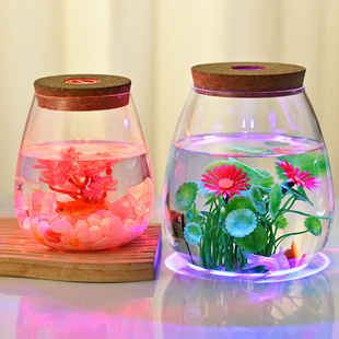 High Borosilicate Heat-Resistant Glass Micro-Landscape Ecological Bottle Landscaping Succulent Plant Table Vase Transparent Flower Pot Fish Tank
