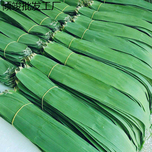 Fresh zongye zongzi leaves are now picked and made natural wild big zongzi leaves fragrant zongzi leaves are broken and compensated (fresh
