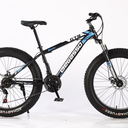 羳ֱѩس4.0̥гŮɽسټԽҰbicycle