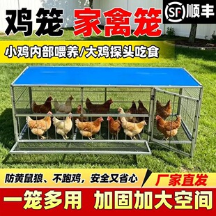 �u�\���������F�z�W��̖������S���Ƿ����Bֳ�u�\�����u�µ��F�\