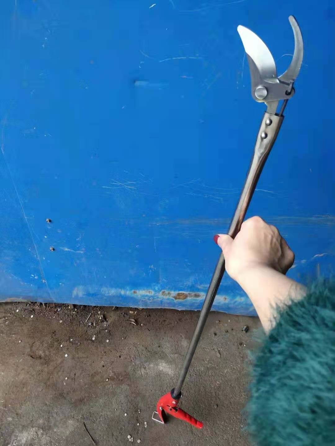 微信图片_20220321154322