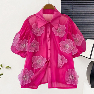 �n�� �ع������w�������r�����b�¿�͸ҕ����Ů�r���r��