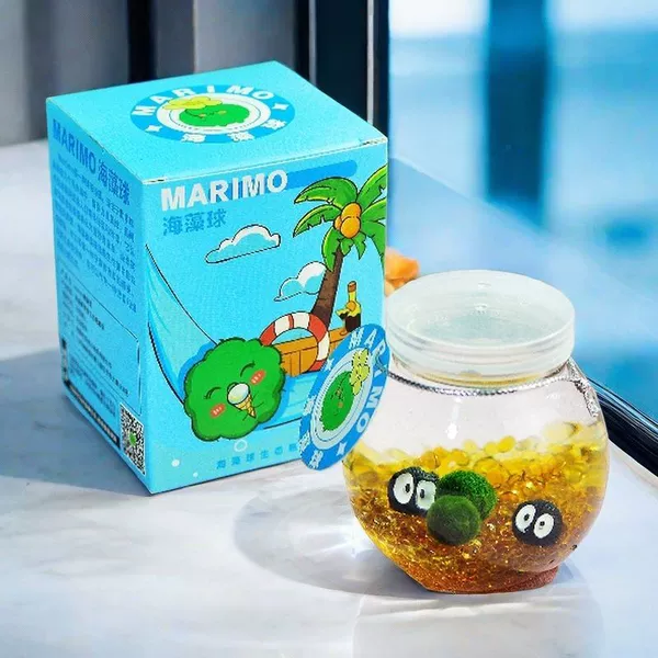 【Cute Algae Planet】Kajin Planet Gift Box