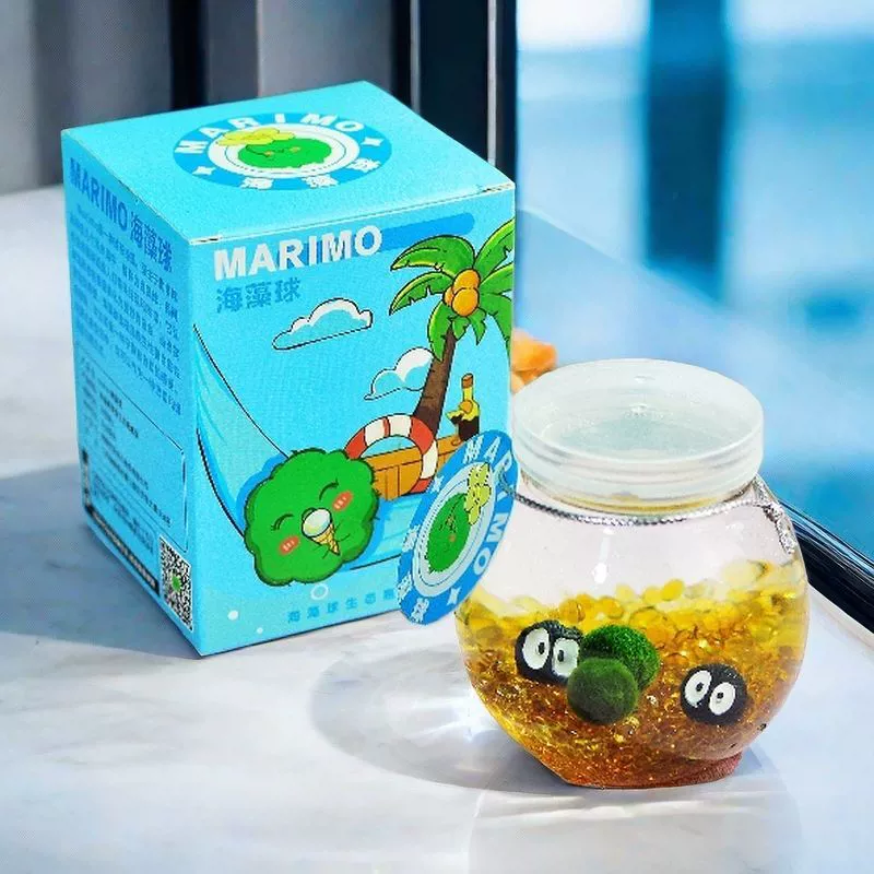 Маримо маленький шарик водоросли экологическая бутылка микрорека настольный гидропонный набор растений подарок полный набор хлореллы питомцев