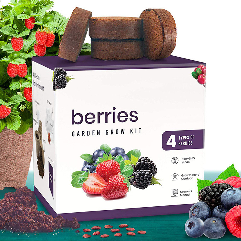 Amazon Gardening Kit Planting Set for Children and Adults DIY Gift Box Wholesale Balcony Flower Pot for Home Use