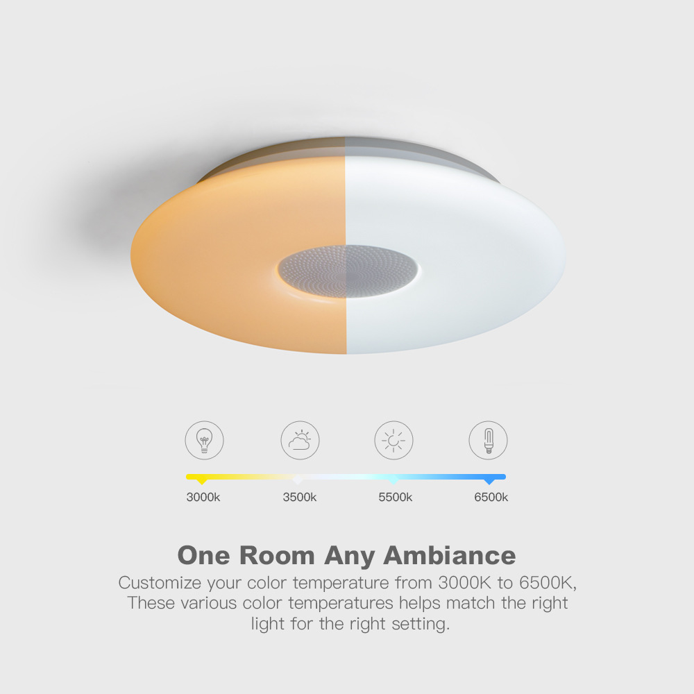 跨境私模智能RGB藍(lán)牙音樂吸頂燈 30CM圓形110V LED燈具廠家定制