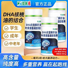 DHA元宝枫籽油叶黄素酯可搭青少年婴儿童鱼肝油DHA核桃油送礼产