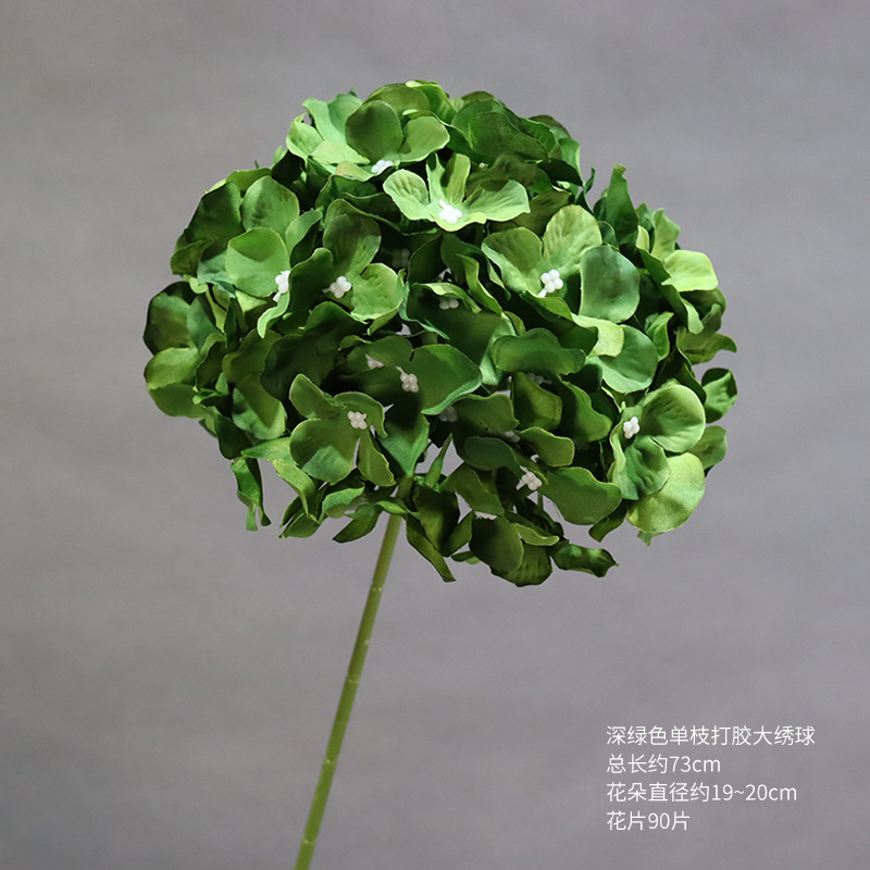 Hortensia grande de una sola rama de color verde oscuro