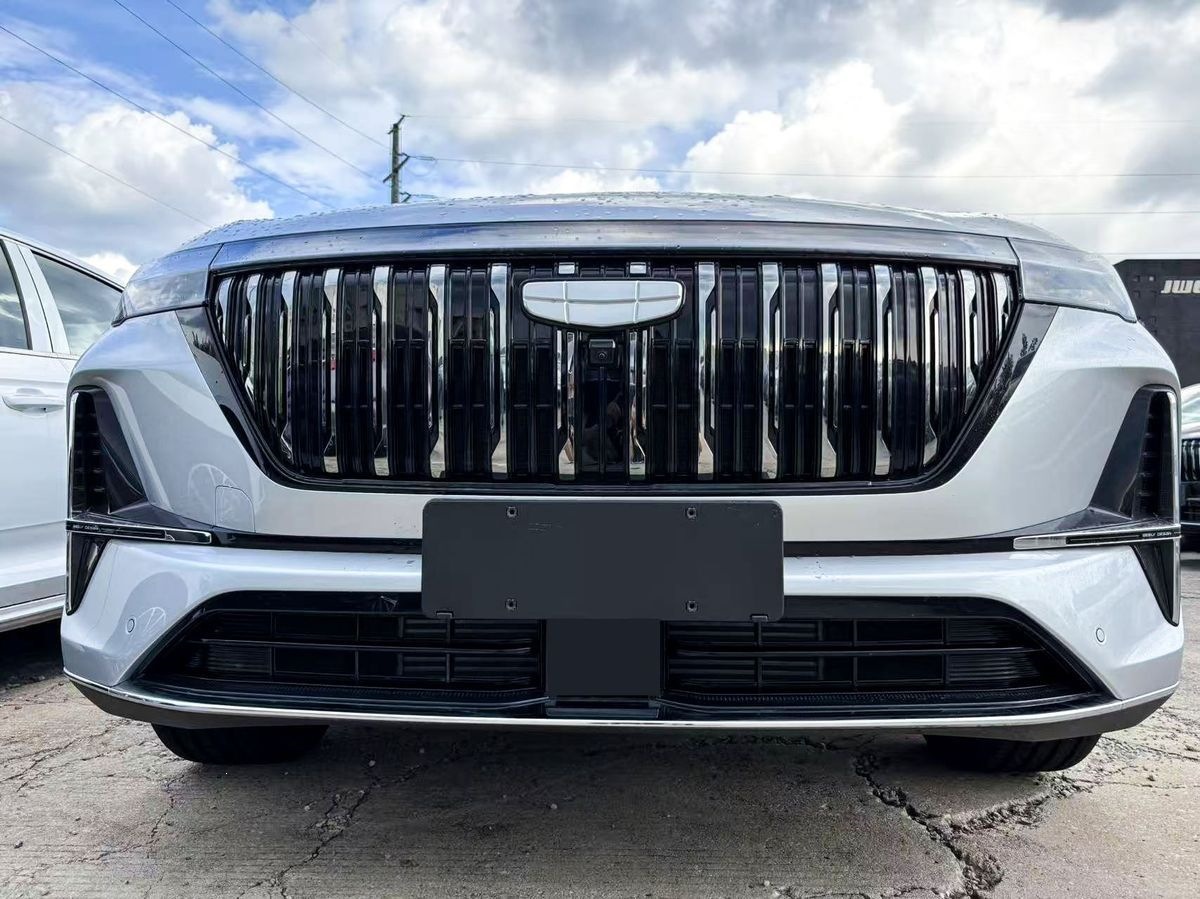 2526 Geely Boyue L front grille insect-proof net, non-removable clip-on radiator grille, dustproof and lint-proof exterior modification