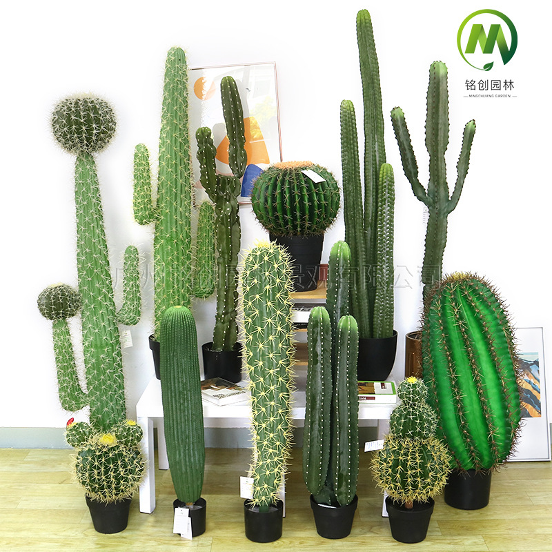 Decoración de paisajismo de plantas falsas en el desierto tropical