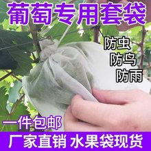 露天防水防果蝇虫鸟透气无纺布葡萄套袋柚梨芒脐橙水果保护袋