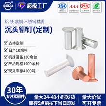 沉头实心铆钉铝铁铜不锈钢材质平锥铭牌钉GB869非标定制厂家批发