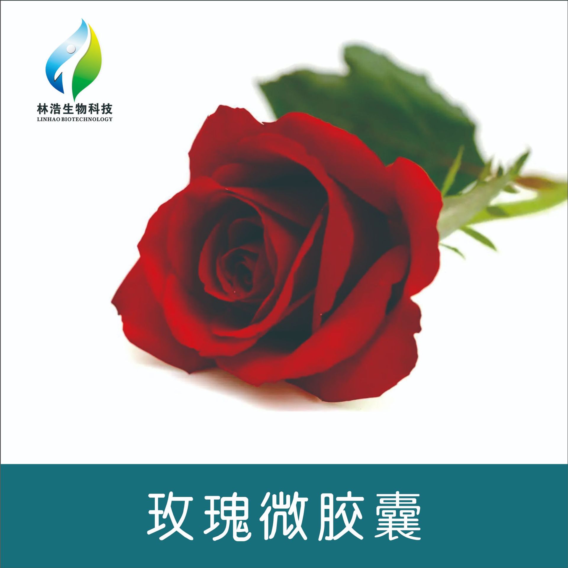 玫瑰香微胶囊整理剂LHSZ37现货供应 纺织家纺芳香助剂