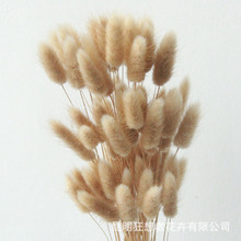 ���Դ�^�Nֲ����ֱ����β�݁��R�d���Hվ�ɻ����ɻ����ϻ���