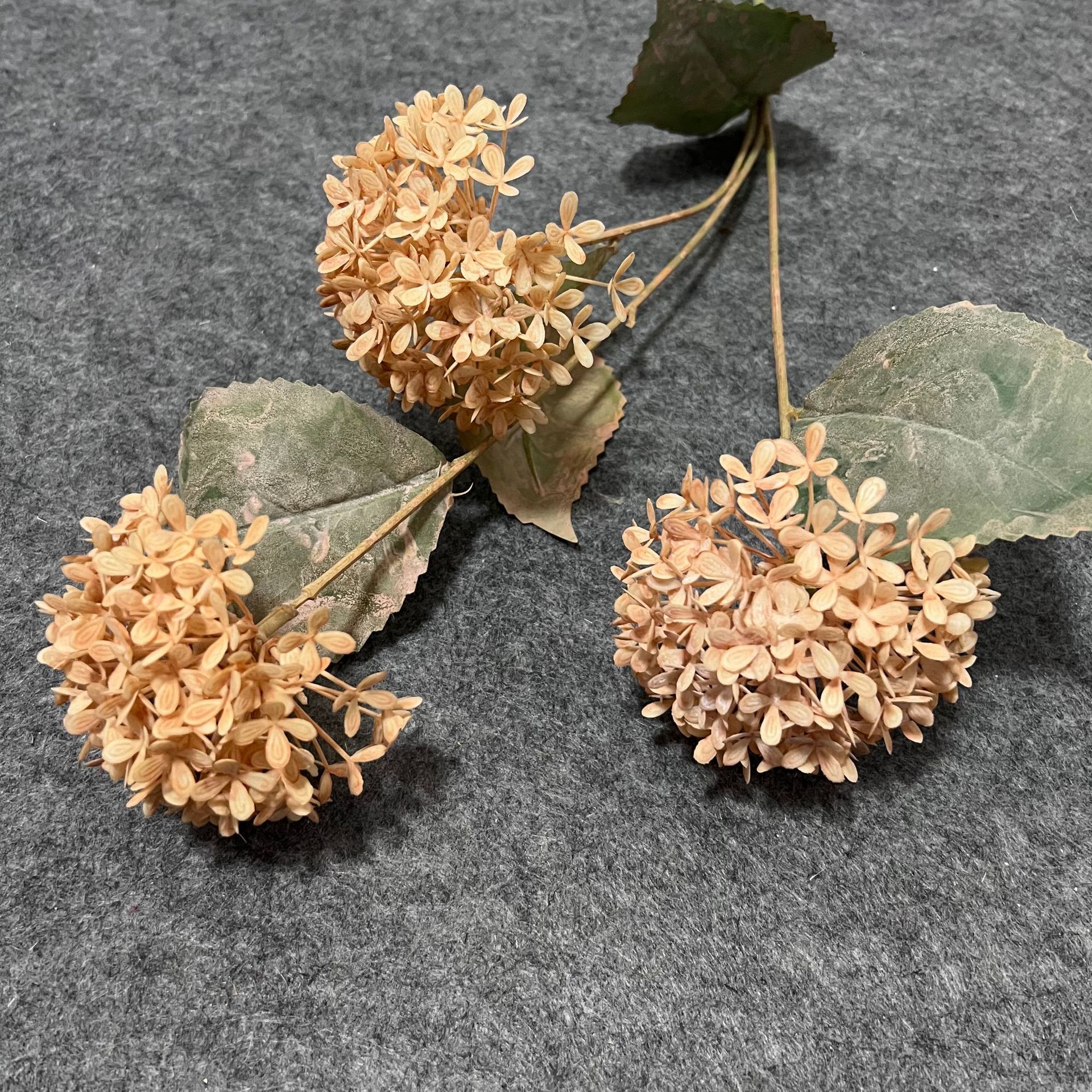 Wooden hydrangea champagne