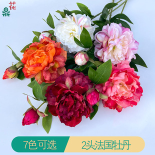 2�^����ĵ�� ��֦��ș ���s�ҾӲ������ļٻ� �S��ֱ�����N���滨