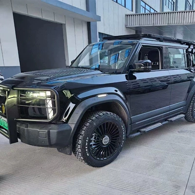 Bumper Bumper, Bull Bar, Front