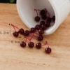 Little Cherry-Double Branch-Purple