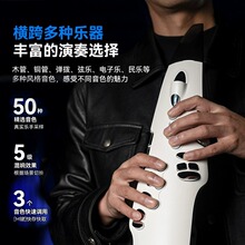 NUX�~��˹NES-1늴��܊ʘ����W����_��˹���J�z�{������������