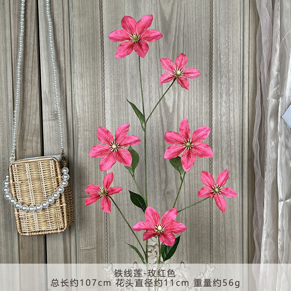 YM-เคลมาทิส-สีแดงกุหลาบ