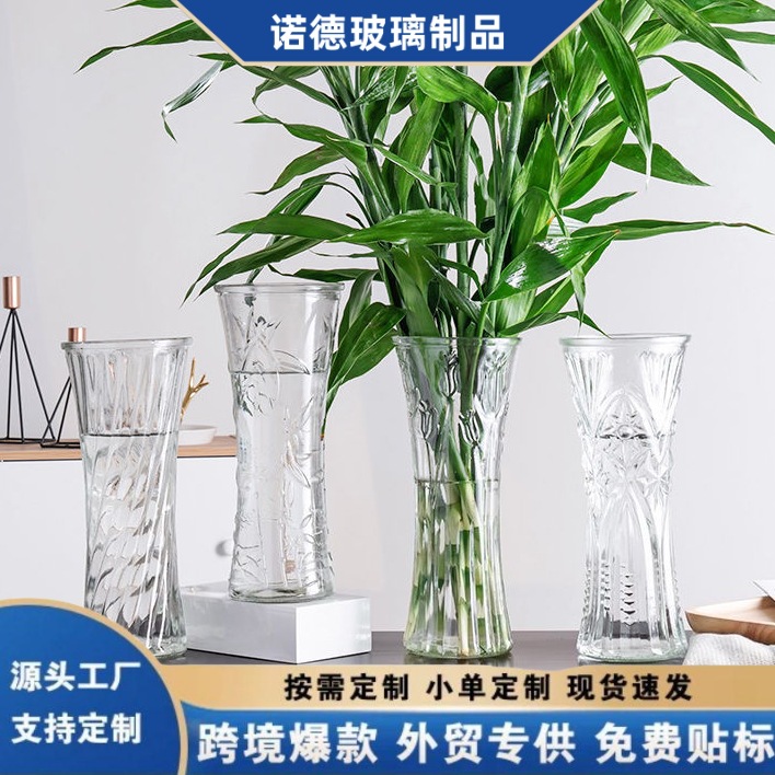 Hydroponic Water-Grown Lucky Bamboo Flower Arrangement Desktop Living Room Decoration Large Vase Transparent Glass Vase with a High-End Feel