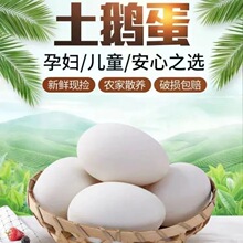 鲜蛋孕妇80土子枚农家当天鹅蛋大食用10新鲜散养笨鹅蛋去处60g