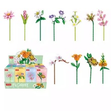 DIYeľŮƴbõտһնY