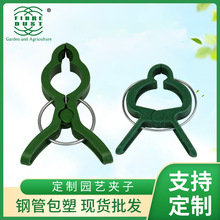 �羳�@ˇ�A�Ӻ����mֲ��@�����b���ѹ̶��A����ֲ��̶����ܾGֲ