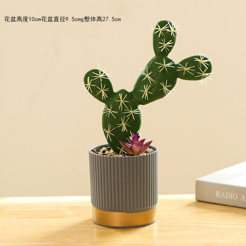 Champagne 50146 Cactus tropical ☆