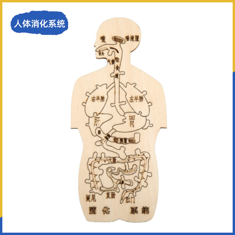 Fuente de fabricación de niños de la ciencia y la tecnología de los estudiantes de primaria pequeños experimentos pequeños inventos kits de materiales de ayuda didáctica