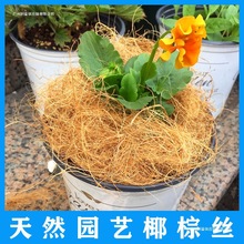Ҭ�ؽzҬ�z���Ҭ���z300�˻����w�����������b�ʯ����Ȼ͸��
