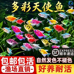 ��ʹ�~��̖�^�p�~�Ꭷ�~��ˮ���B�ͻ�Ⱥ���߲�����ʹ�t�����S
