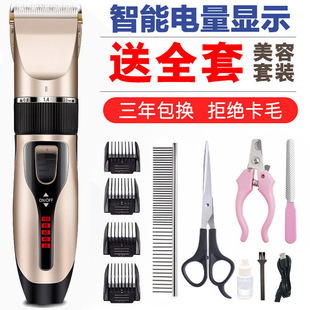 ������ë��������Ƽ�̩��؈���깷ë���I�������ë���l�_ë����