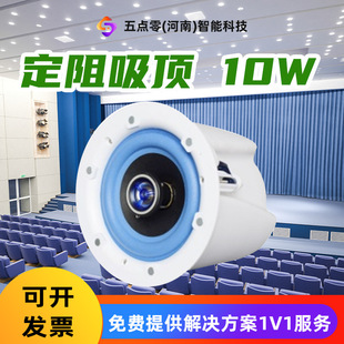 Fixed-Resistance Ceiling-Mounted 10W Speakers for Training Rooms, Embedded in Conference Rooms and Lecture Halls, Dedicated Indoor Audio System Equipment