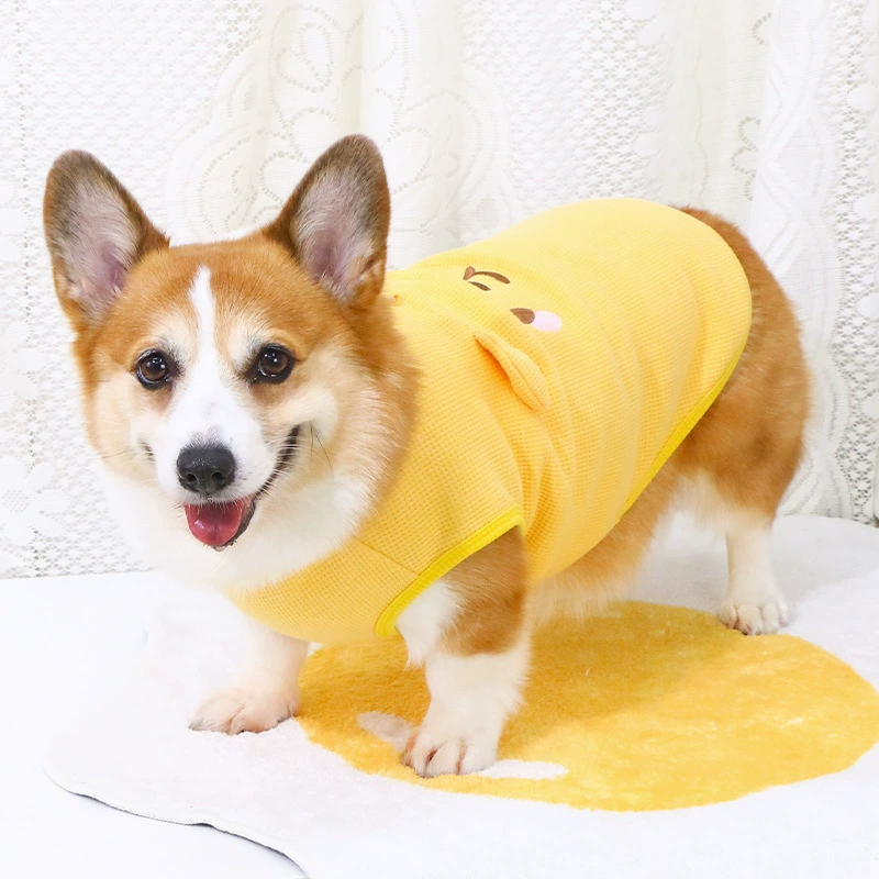 Домашняя собака одежда для собак осенняя и зимняя милая теплая кокиби медведь Тедди маленькая собака 2024 новый бархатный жилет