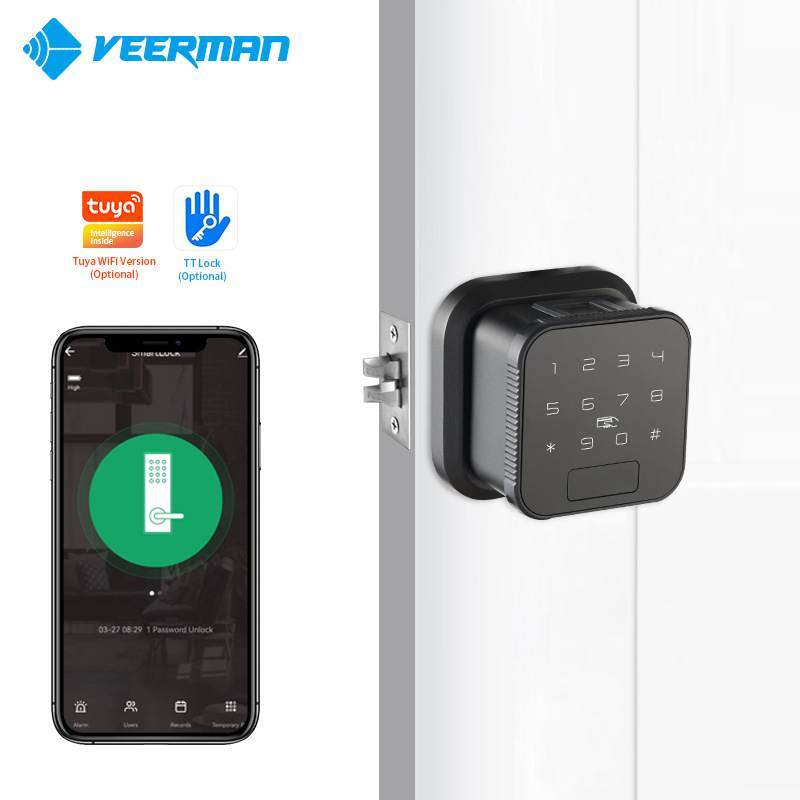 Cross-border Tuya TTlock smartlock wooden door spherical lock Tuya smart fingerprint lock password lock