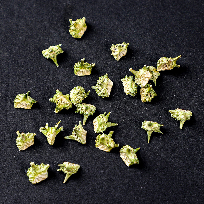 Dried Caltrop Fruit Ji Li 500g Whole Herb Traditional TCM Ingredient specifications
