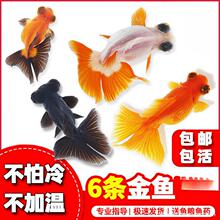 ������~���~�^�p�~С�͵�ˮ���B��ˮ�~�~������С���~�m���\��